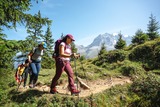Hikers on a forested mountain trail