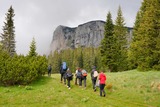 Hikers walking through a mountain meadow